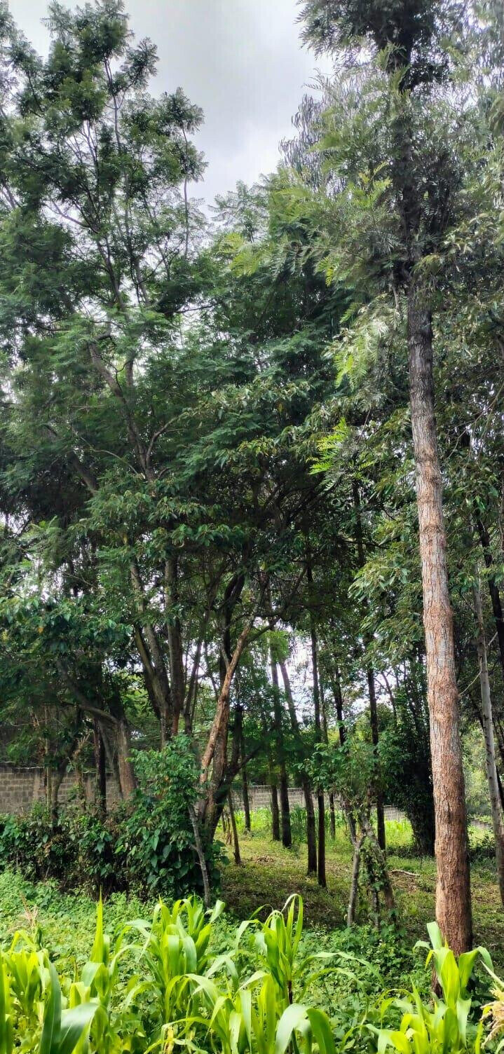 2.5-Acre Land for KSh 50M