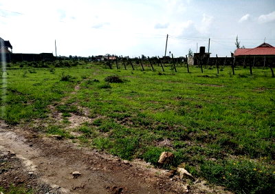1/8 Acre Plot for KSh 3.8M