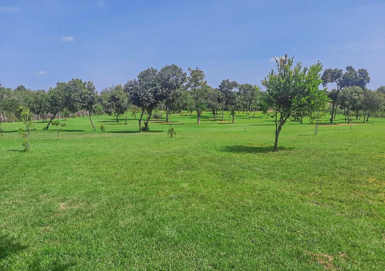 4-Bed Solar-Powered Home with Mount Kenya Views - Nanyuki