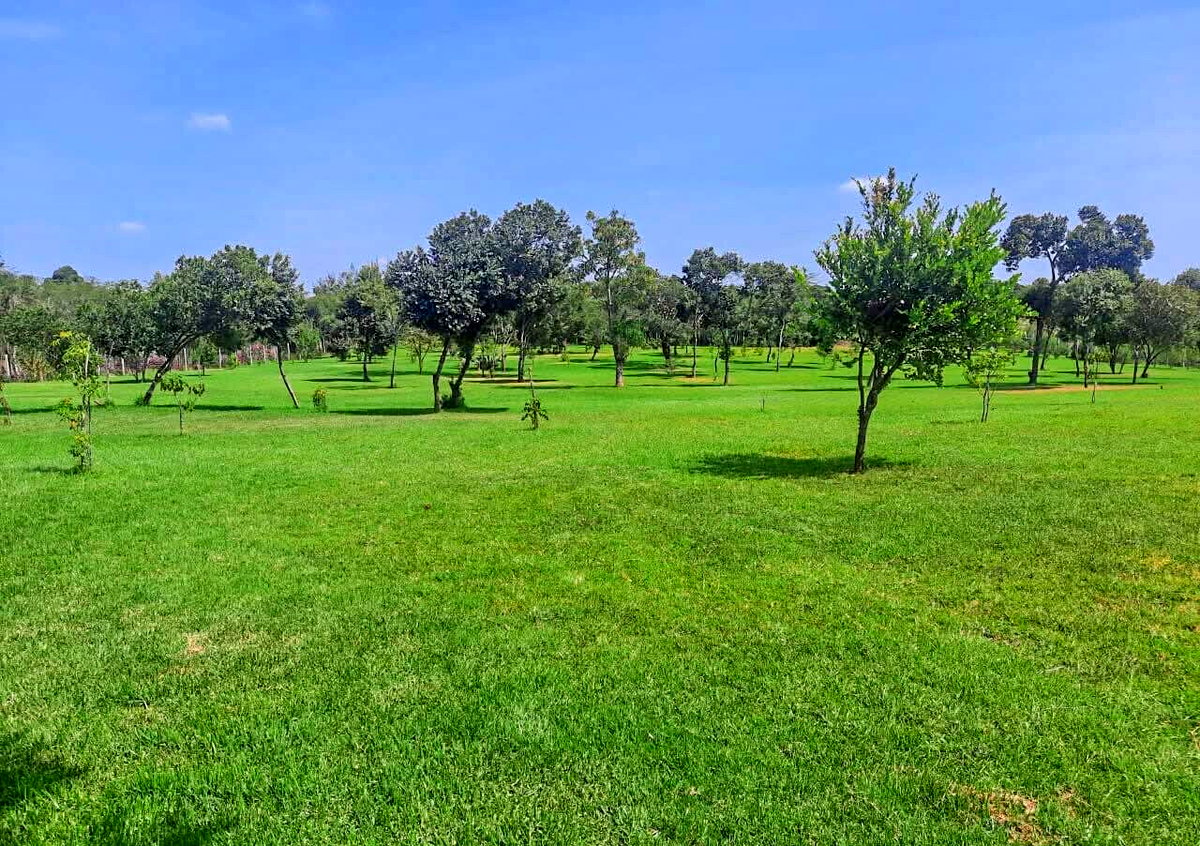 4-Bed Solar-Powered Home with Mount Kenya Views - Nanyuki