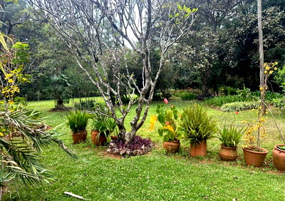 1.1-Acre Garden Plot with Parking - Karen