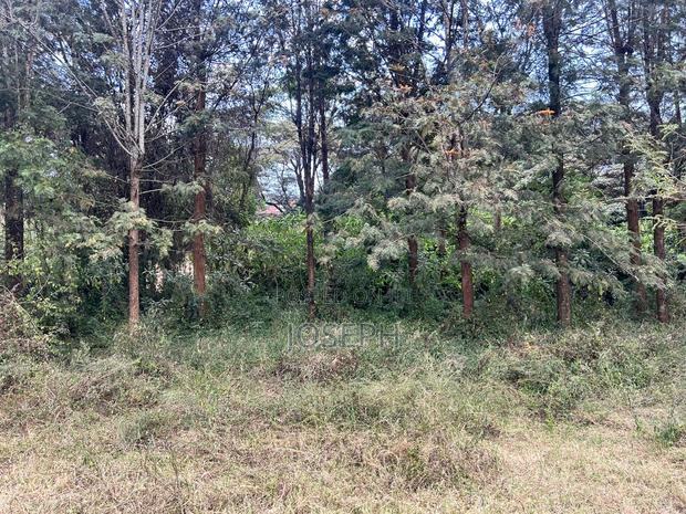 Karen- Dagorreti Road 3/4acres to Let