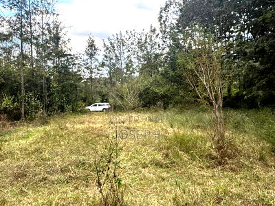 Karen- Dagorreti Road 3/4acres to Let - Image 4