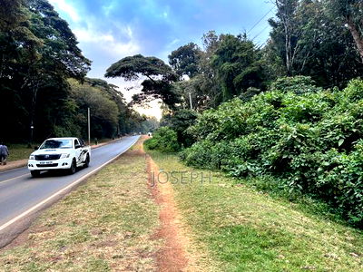 Karen- Dagorreti Road 3/4acres to Let - Image 2