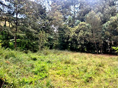 Karen- Dagorreti Road 3/4acres to Let - Image 7