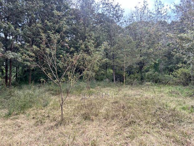 Karen- Dagorreti Road 3/4acres to Let