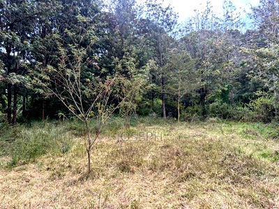 Karen- Dagorreti Road 3/4acres to Let - Image 10