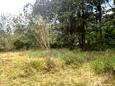 Karen- Dagorreti Road 3/4acres to Let - Image 5