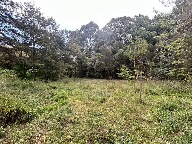 Karen- Dagorreti Road 3/4acres to Let