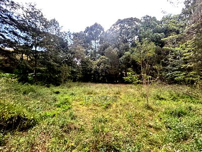 Karen- Dagorreti Road 3/4acres to Let - Image 6