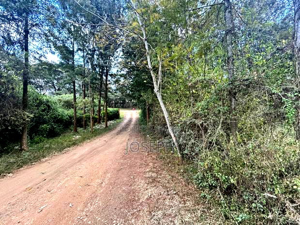 Karen- Dagorreti Road 3/4acres to Let