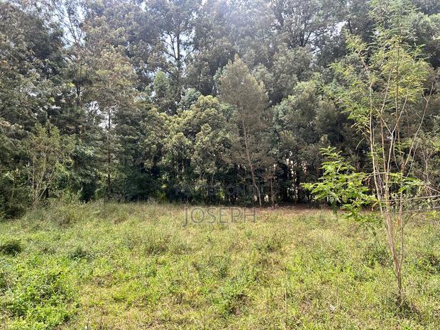 Karen- Dagorreti Road 3/4acres to Let