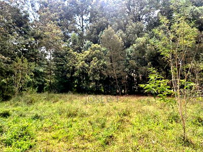 Karen- Dagorreti Road 3/4acres to Let - Image 8