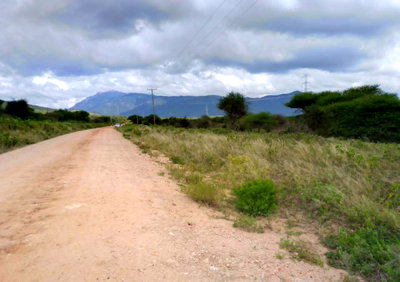 5-Acre Plot at KSh 1.5M Per Acre