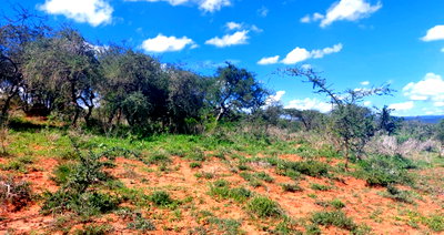 30-Acre Land with Highway Access