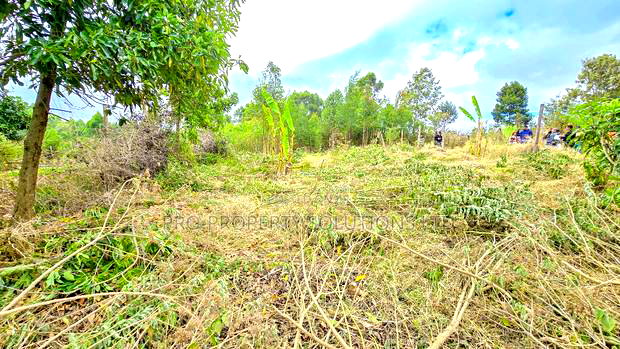 Prime Residential Plot for Sale in Kikuyu, Migumoini