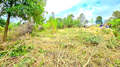 Prime Residential Plot for Sale in Kikuyu, Migumoini - Image 5