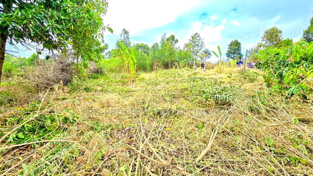 Prime Residential Plot for Sale in Kikuyu, Migumoini
