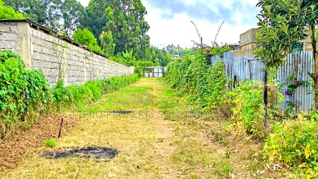 Prime Residential Plot for Sale in Kikuyu, Migumoini