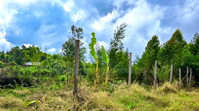 Prime Residential Plot for Sale in Kikuyu, Migumoini - Image 6
