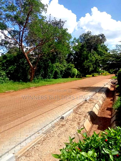 1/2 Acre for Sale - Image 2