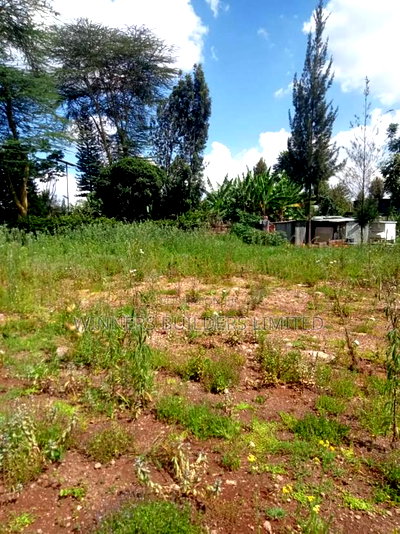 1/2 Acre for Sale - Image 11