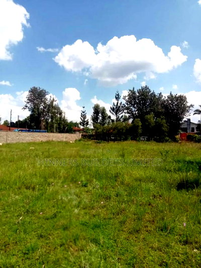 1/2 Acre for Sale - Image 3