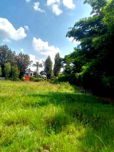 1/2 Acre for Sale - Image 4