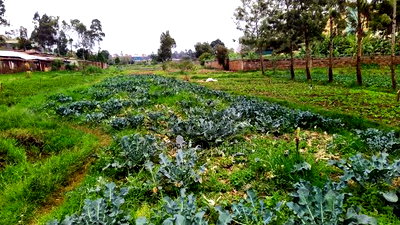 Vacant Land for Sale in Loresho - Image 3