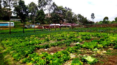 Vacant Land for Sale in Loresho - Image 5