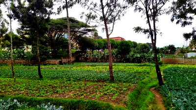 Vacant Land for Sale in Loresho - Image 4