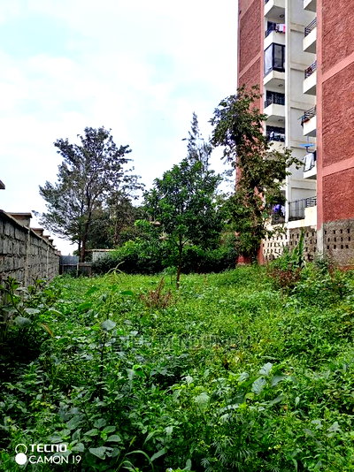 Prime Land on Sale, Kasarani - Image 6