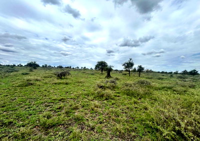 10-Acre Land with Garden and Parking - Isinya