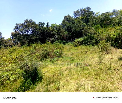 Land for Sale - Image 3