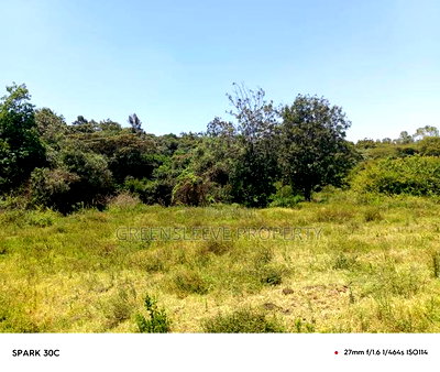 Land for Sale - Image 5