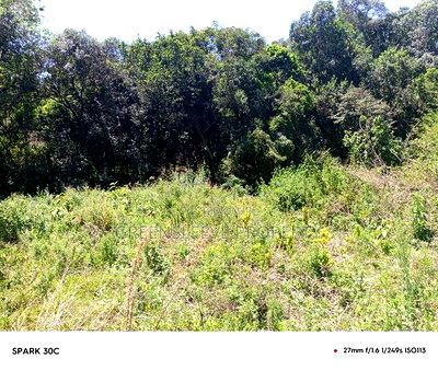 Land for Sale - Image 2