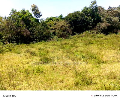 Land for Sale - Image 6