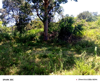 Land for Sale - Image 11