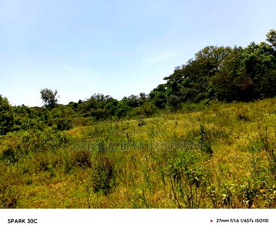 Land for Sale - Image 8