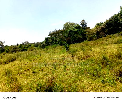 Land for Sale - Image 10