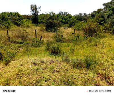 Land for Sale - Image 7