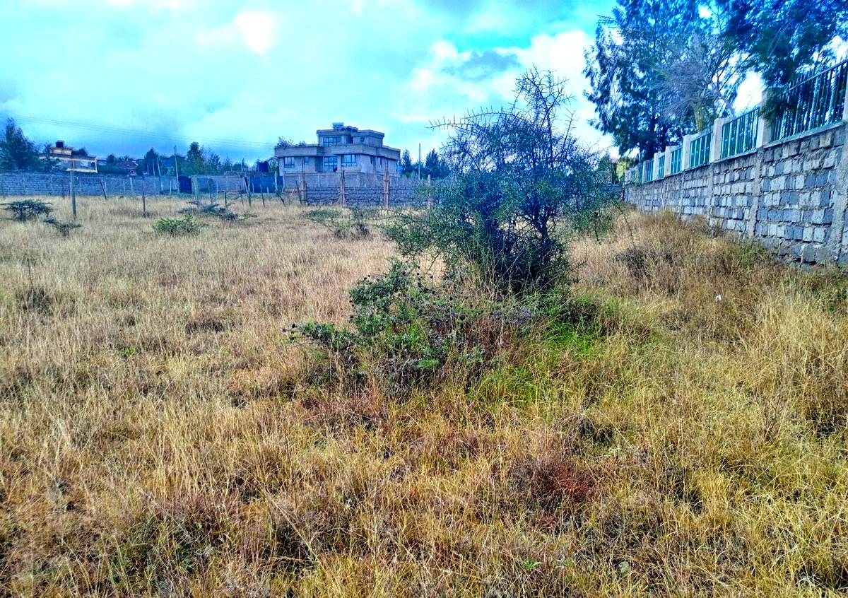 Pet Friendly Quarter Acre in Kitengela