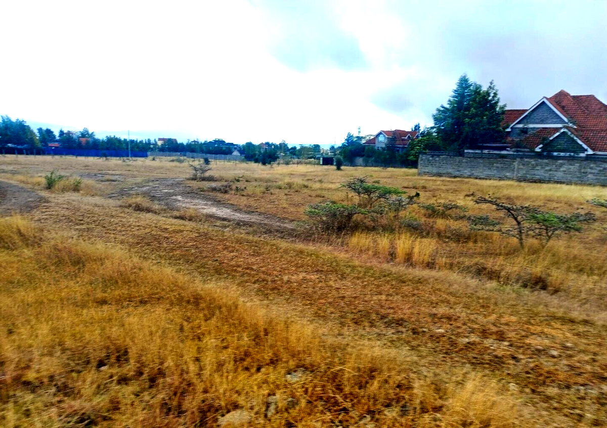 Pet Friendly Quarter Acre in Kitengela