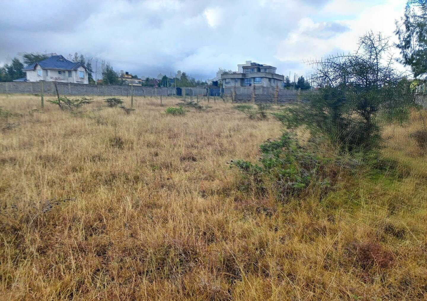 Pet Friendly Quarter Acre in Kitengela