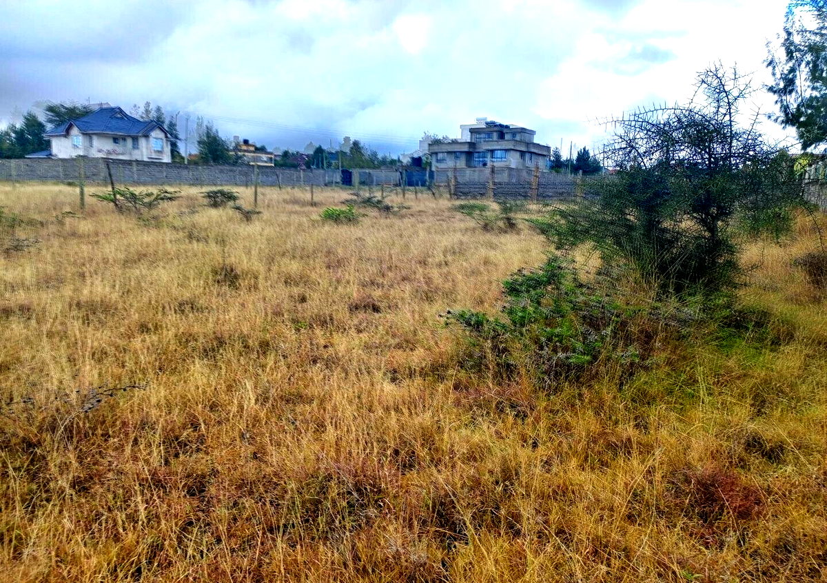 Pet Friendly Quarter Acre in Kitengela