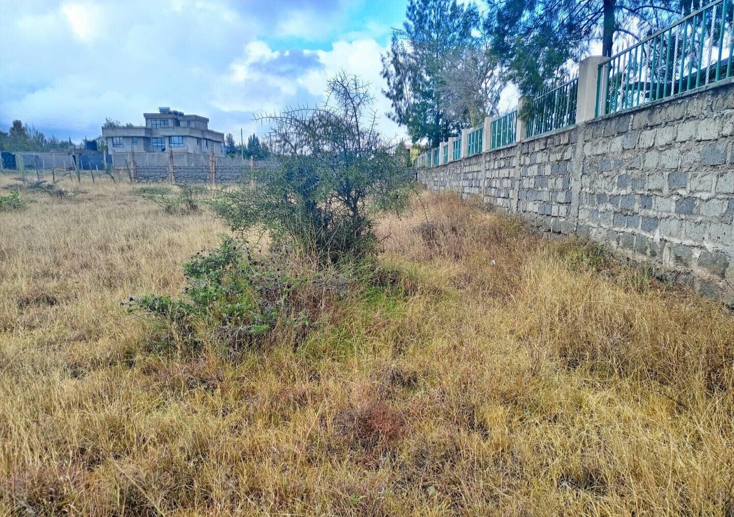Pet Friendly Quarter Acre in Kitengela