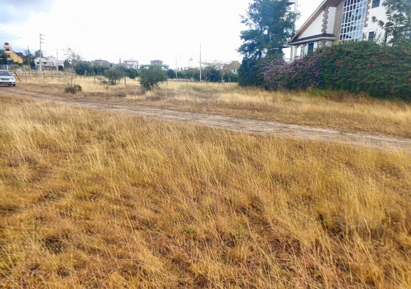 Pet Friendly Quarter Acre in Kitengela