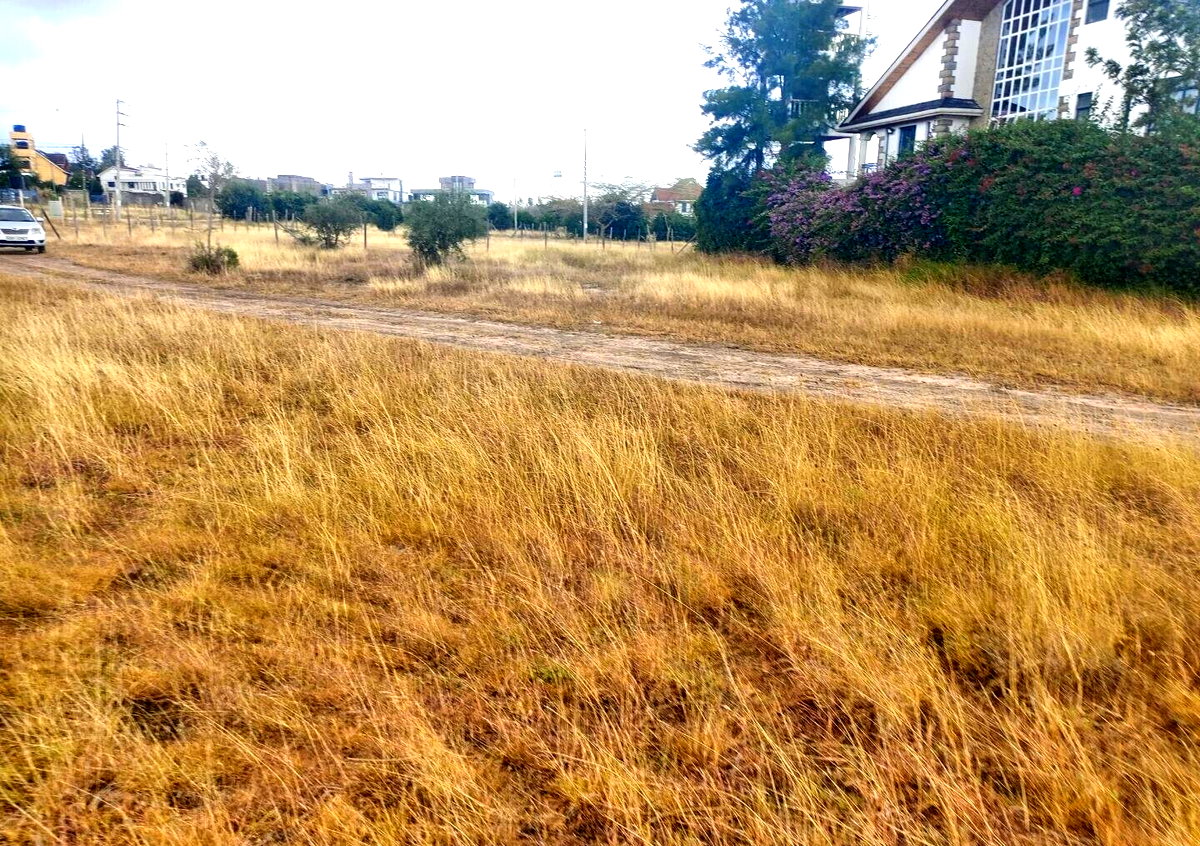Pet Friendly Quarter Acre in Kitengela