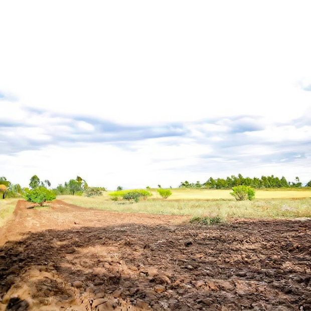 Secure Your Plot in Kikuyu Nachu, Mbomboine