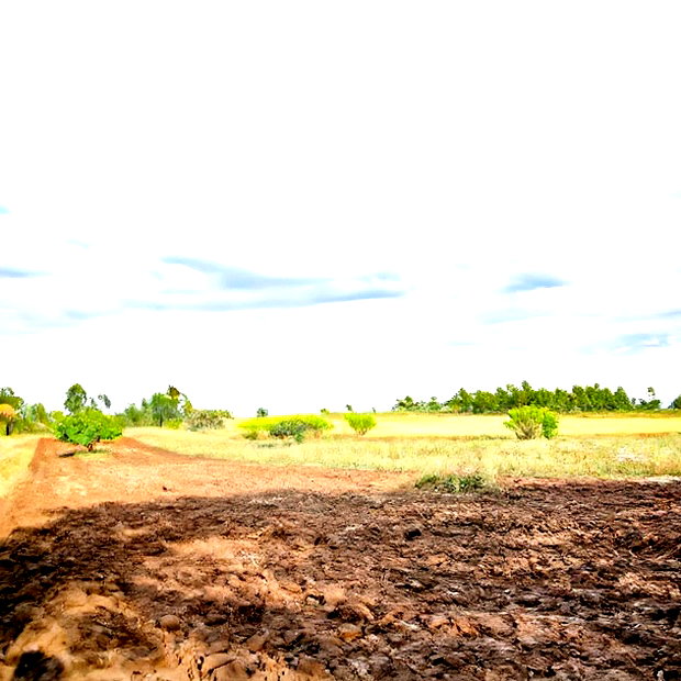 Secure Your Plot in Kikuyu Nachu, Mbomboine